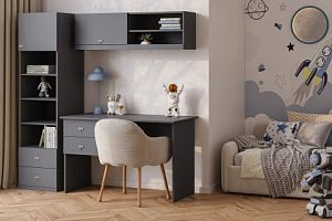 детская Стрекоза-6 Графит