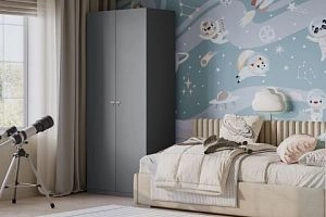 Стрекоза-2 Графит